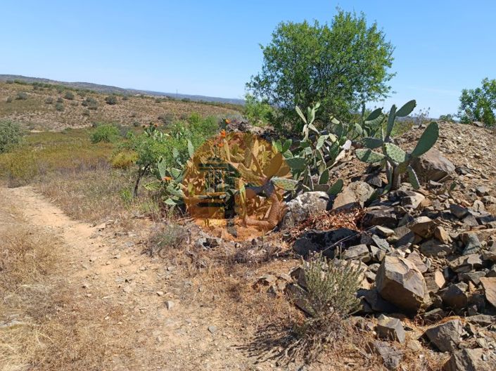 Image No.7-Plot for sale