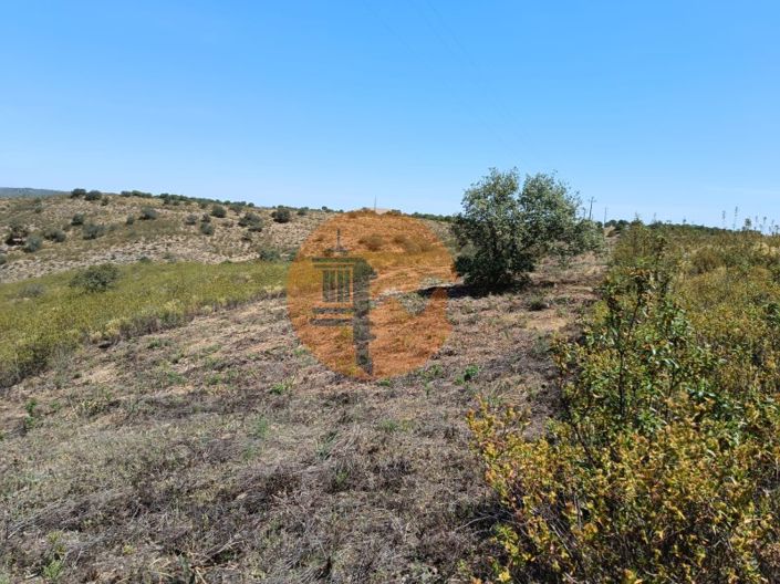 Image No.8-Plot for sale