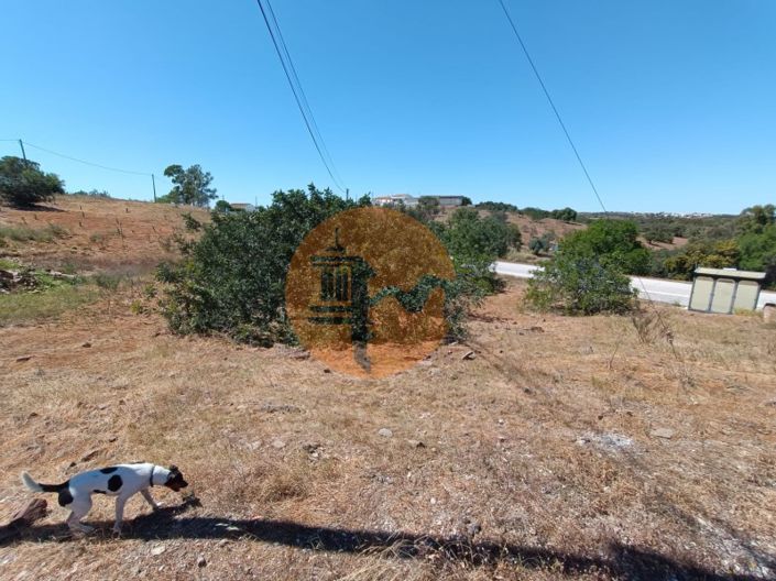 Image No.13-Maison de 2 chambres à vendre à Castro Marim