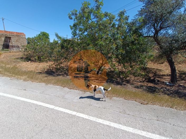 Image No.22-Maison de 2 chambres à vendre à Castro Marim