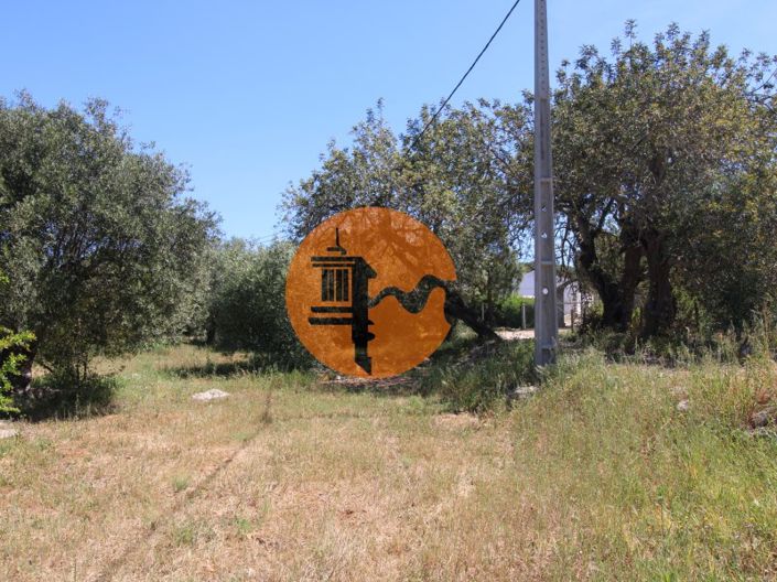 Image No.12-Terrain à vendre à Faro City