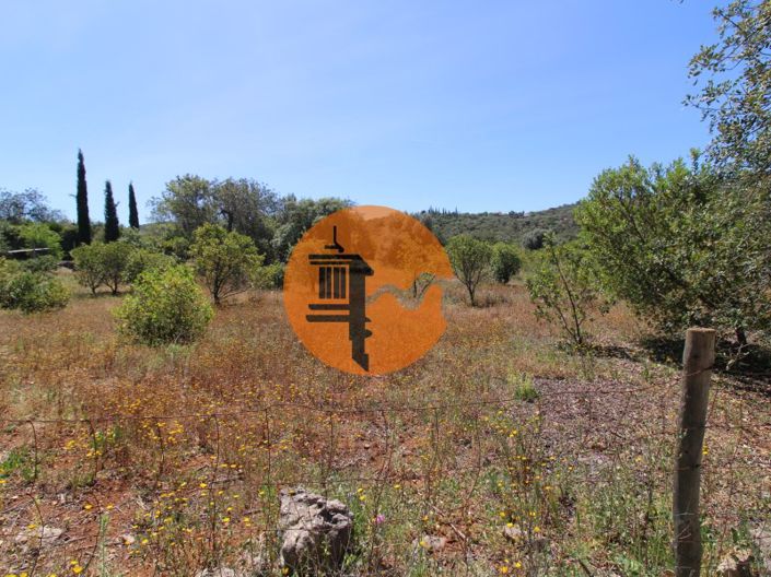 Image No.13-Terrain à vendre à Faro City