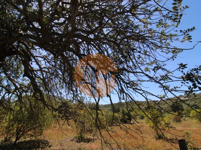 Image No.17-Terrain à vendre à Faro City