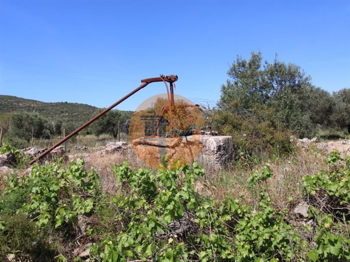 Image No.7-Terrain à vendre à Faro City