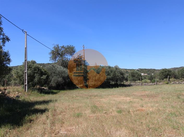 Image No.10-Terrain à vendre à Faro City