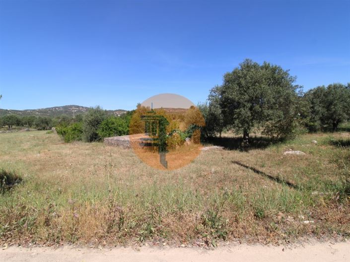 Image No.11-Terrain à vendre à Faro City