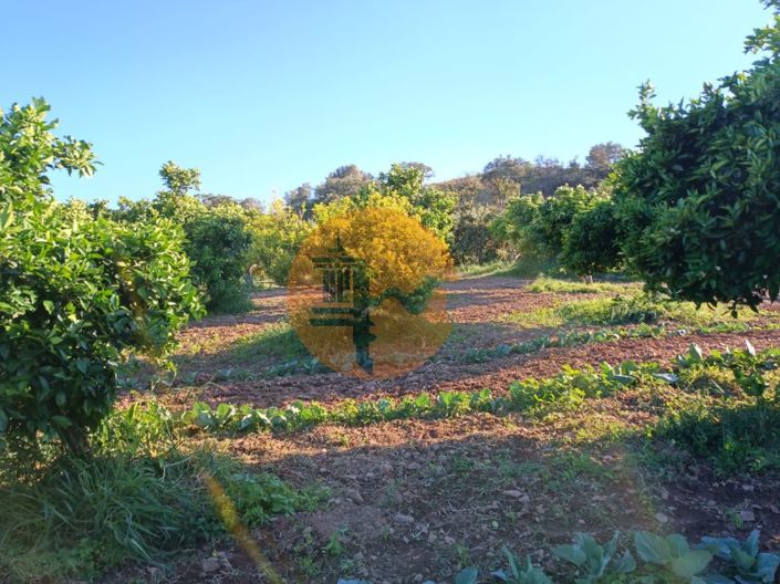 Image No.15-Plot for sale