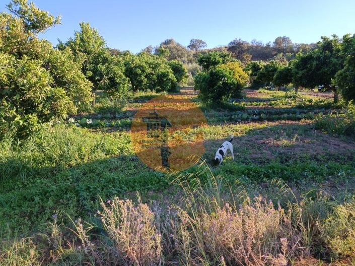 Image No.23-Plot for sale