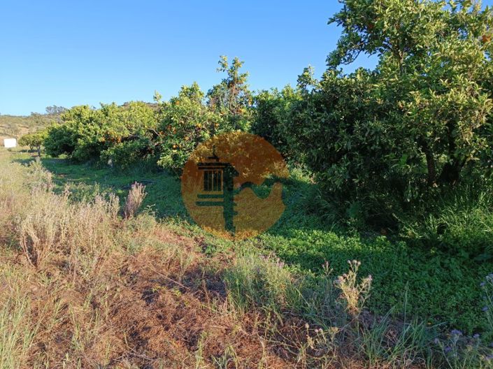 Image No.24-Plot for sale