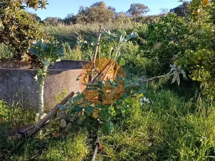 Image No.30-Plot for sale