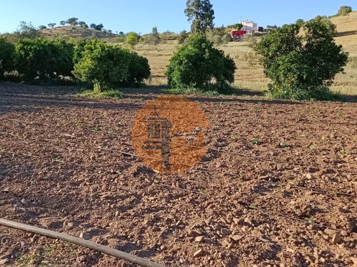 Image No.34-Plot for sale