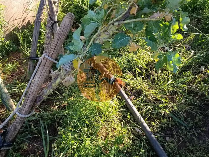 Image No.37-Plot for sale