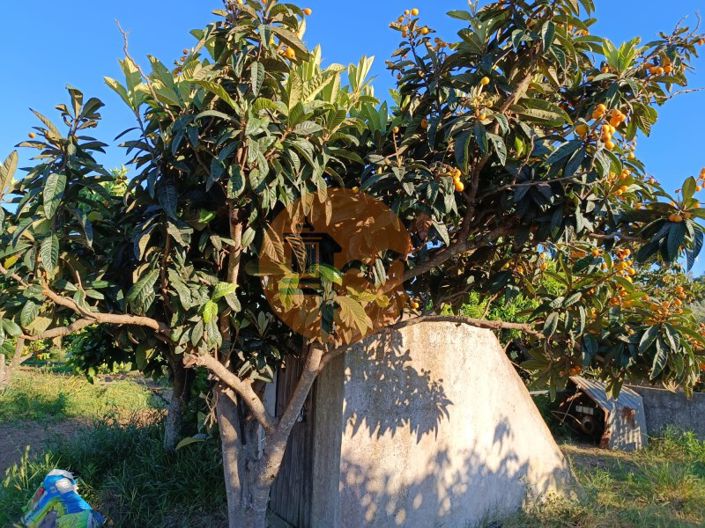 Image No.39-Plot for sale