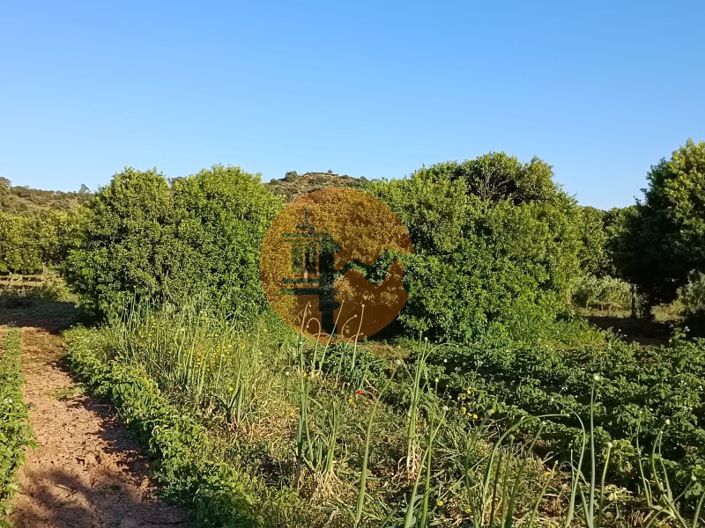 Image No.43-Plot for sale