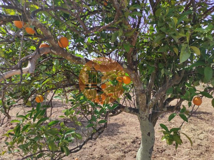 Image No.46-Plot for sale