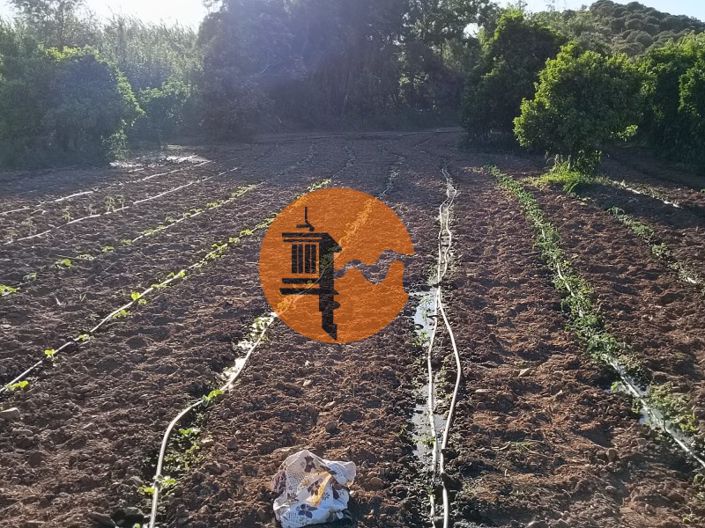 Image No.5-Plot for sale