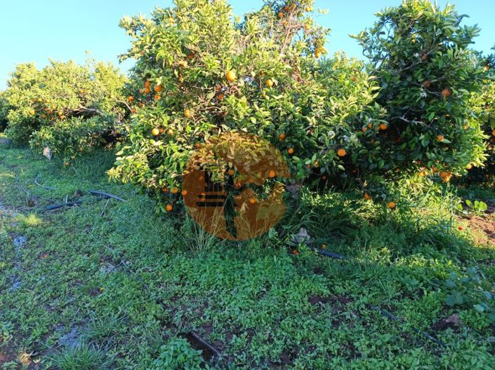 Image No.6-Plot for sale