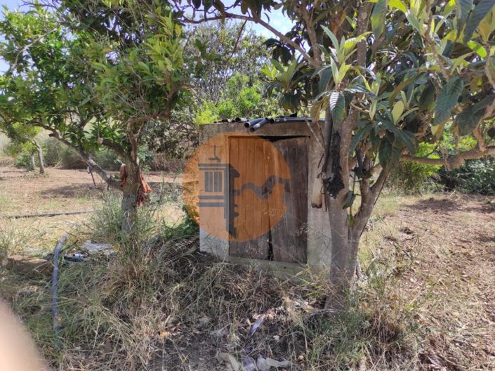 Image No.7-Plot for sale