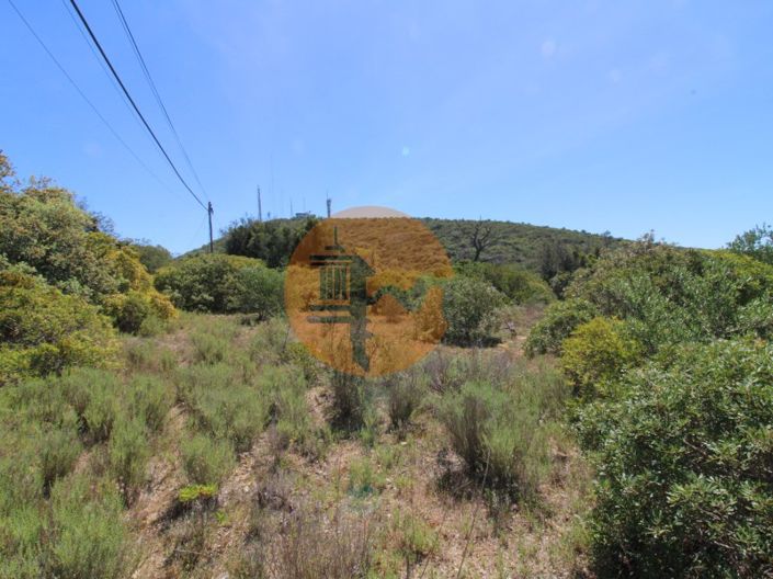 Image No.10-Terrain à vendre à Faro City