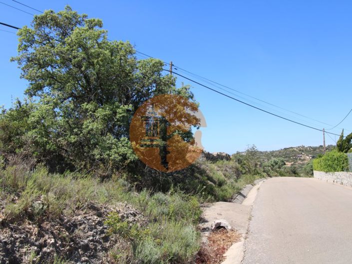 Image No.11-Terrain à vendre à Faro City