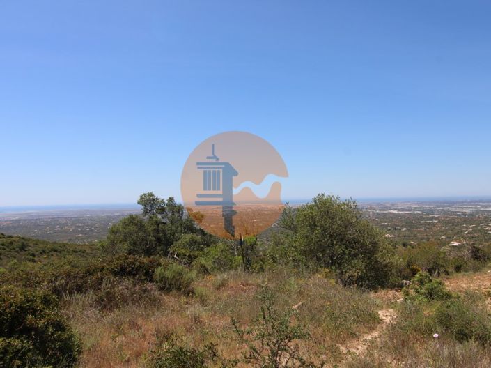 Image No.2-Terrain à vendre à Faro City