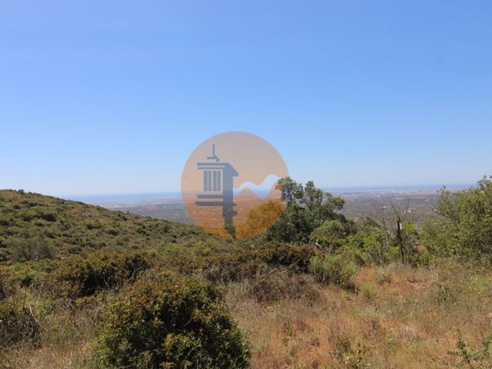 Image No.3-Terrain à vendre à Faro City