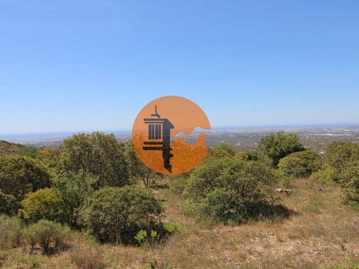 Image No.4-Terrain à vendre à Faro City