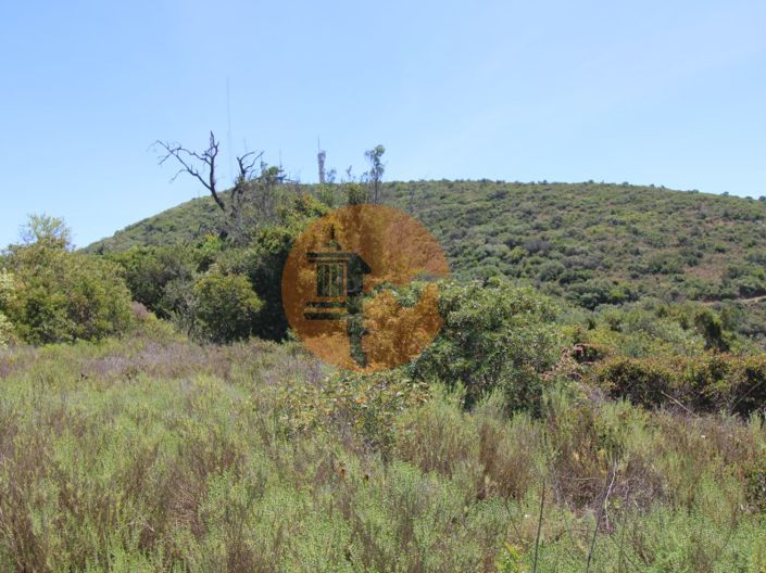 Image No.6-Terrain à vendre à Faro City