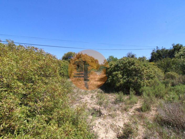 Image No.7-Terrain à vendre à Faro City