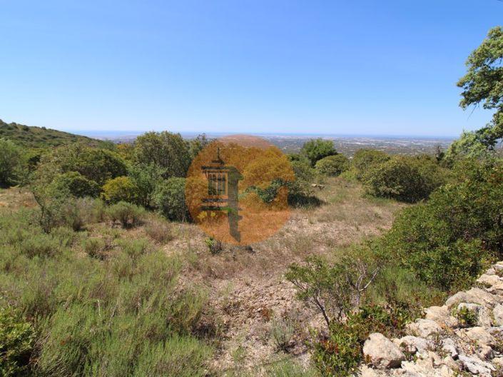 Image No.8-Terrain à vendre à Faro City