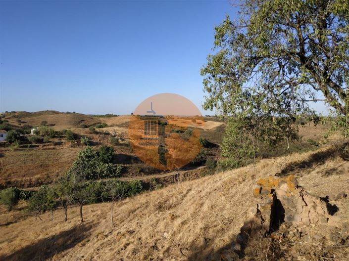 Image No.40-3 Bed House for sale