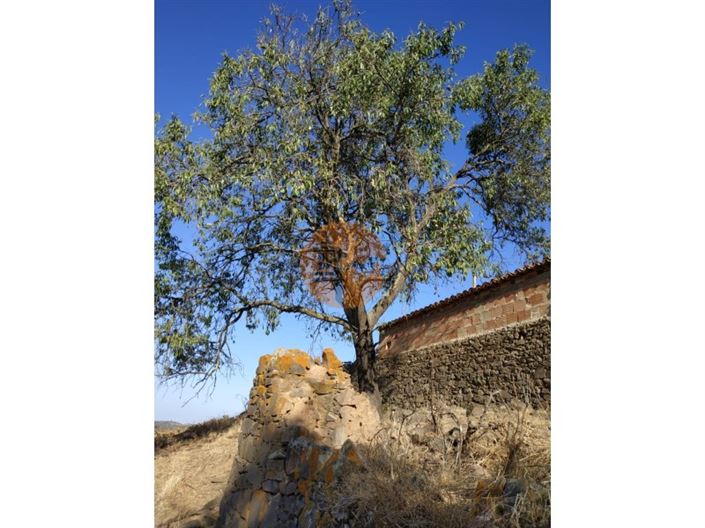 Image No.48-3 Bed House for sale