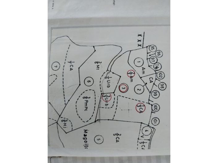 Image No.66-3 Bed House for sale