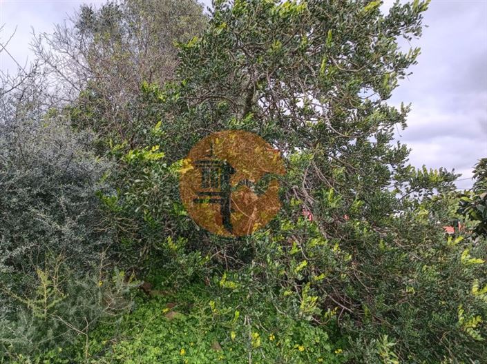 Image No.25-3 Bed House for sale