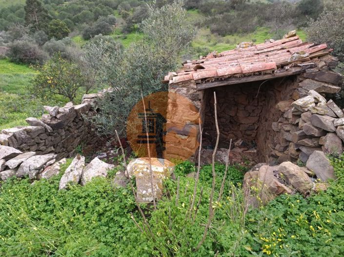 Image No.28-3 Bed House for sale