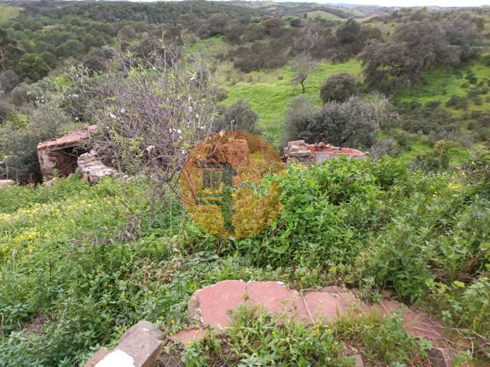 Image No.32-3 Bed House for sale