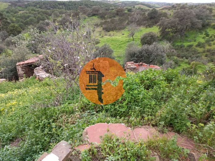 Image No.32-3 Bed House for sale