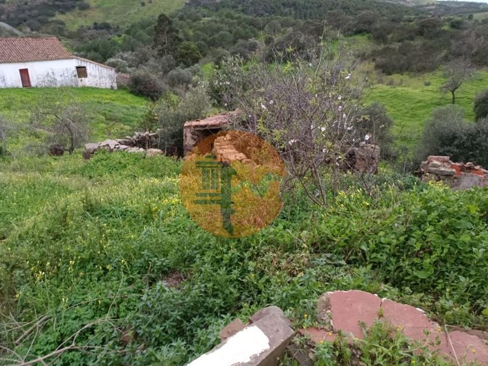 Image No.33-3 Bed House for sale