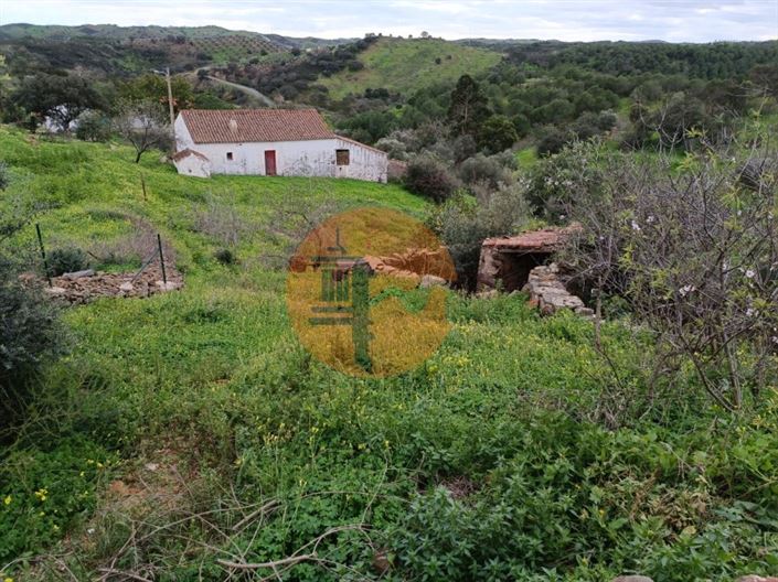 Image No.36-3 Bed House for sale