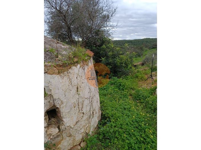 Image No.37-3 Bed House for sale