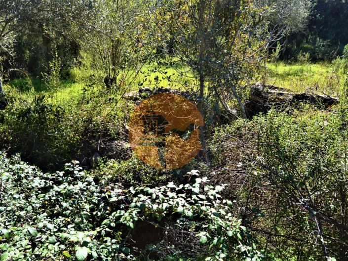 Image No.10-Plot for sale