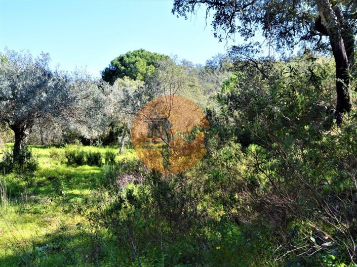 Image No.14-Terrain à vendre à Tavira
