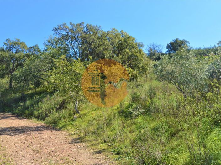 Image No.2-Terrain à vendre à Tavira