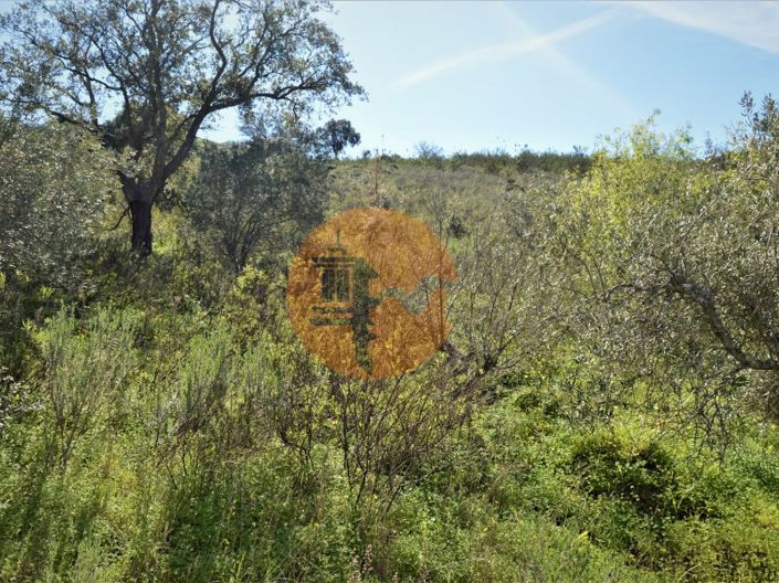 Image No.3-Plot for sale