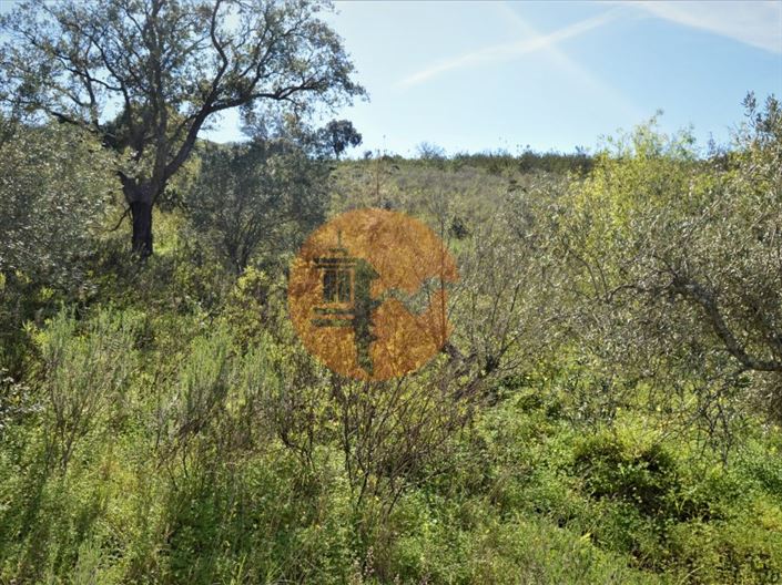 Image No.3-Terrain à vendre à Tavira