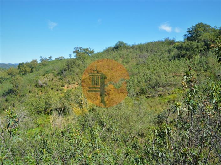 Image No.5-Terrain à vendre à Tavira