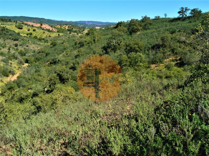 Image No.6-Terrain à vendre à Tavira