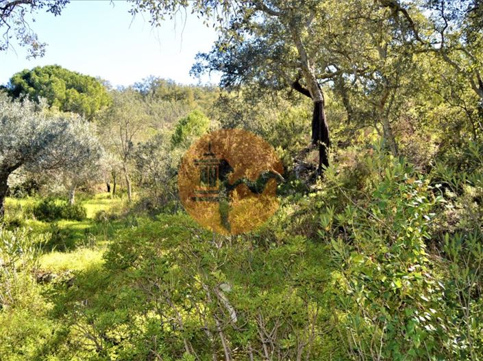 Image No.8-Terrain à vendre à Tavira