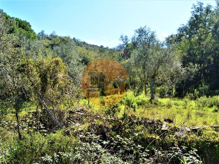 Image No.9-Terrain à vendre à Tavira