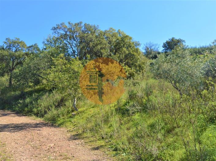 Image No.1-Plot for sale